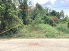 listing thumbnail image 23