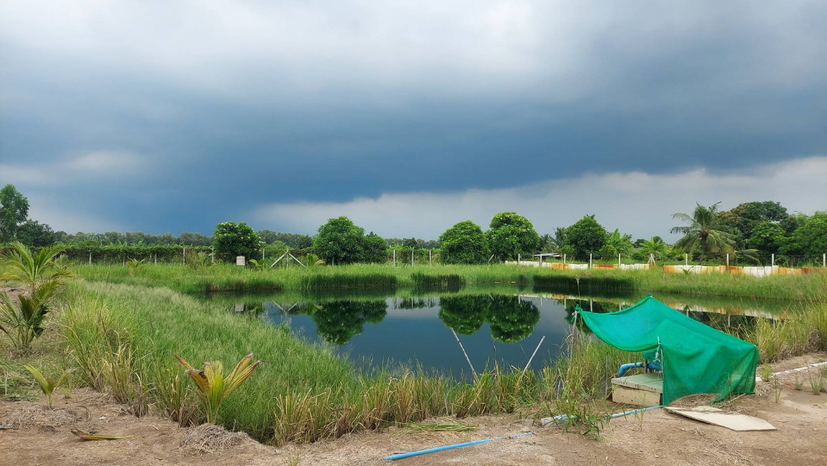 รูป ขายที่ดิน 2 ไร่ 86 ตรว. ต.นพรัตน์ อ. หนองเสือ จ.ปทุมธานี คลอง12 - รูปที่ 2/8