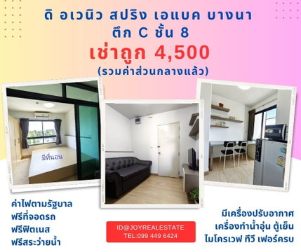 The Avenue Spring for rent the best price.
