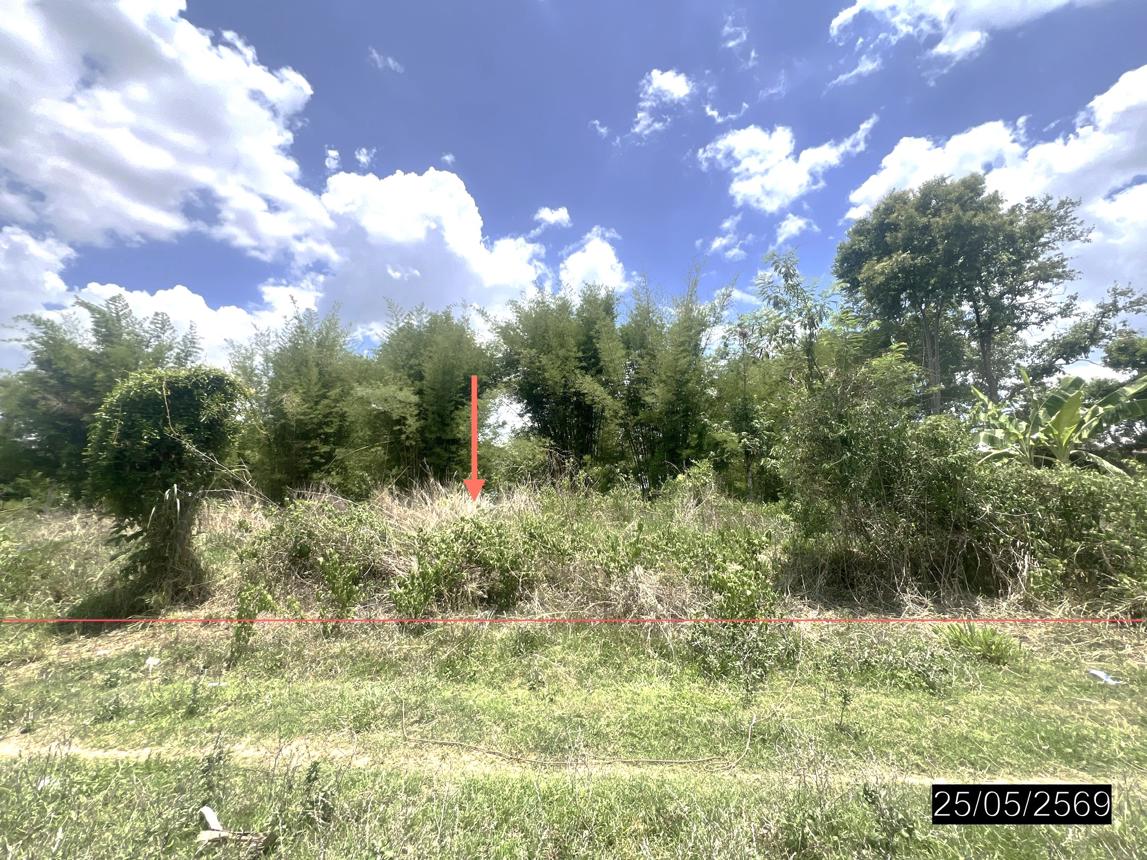 picture LAND 208 Sq.w. Pho Sai Ubon Ratchathani for 193,000 - 10/22