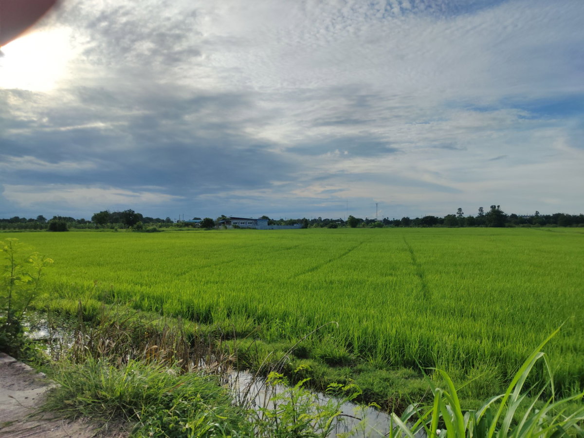 รูป เจ้าของขายเอง ที่ดินตัวเมืองอ่างทอง ใกล้หมู่บ้าน 15 ไร่ 1 งาน 70 ตารางวา - รูปที่ 4/5