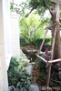 listing thumbnail image 16