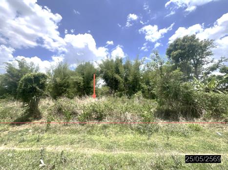 picture LAND 208 Sq.w. Pho Sai Ubon Ratchathani for 193,000 - 19/22