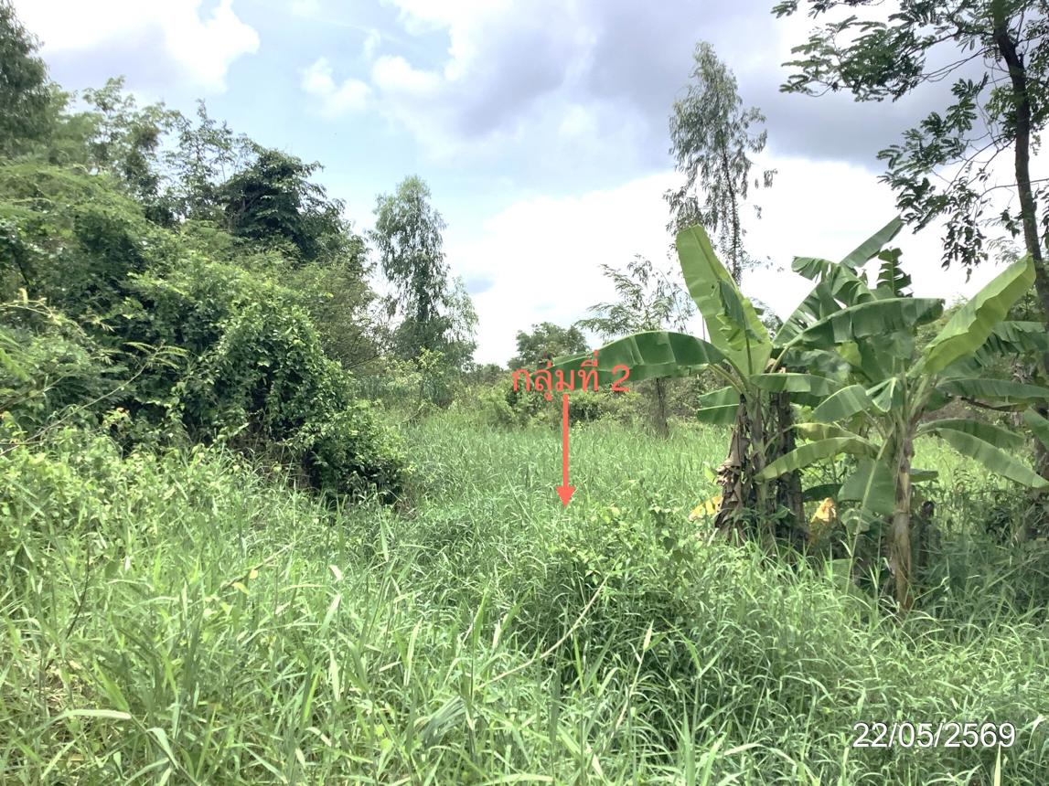 picture LAND 3979 Sq.w. Khlong Khlung Kamphaeng Phet for 4.5M - 27/32