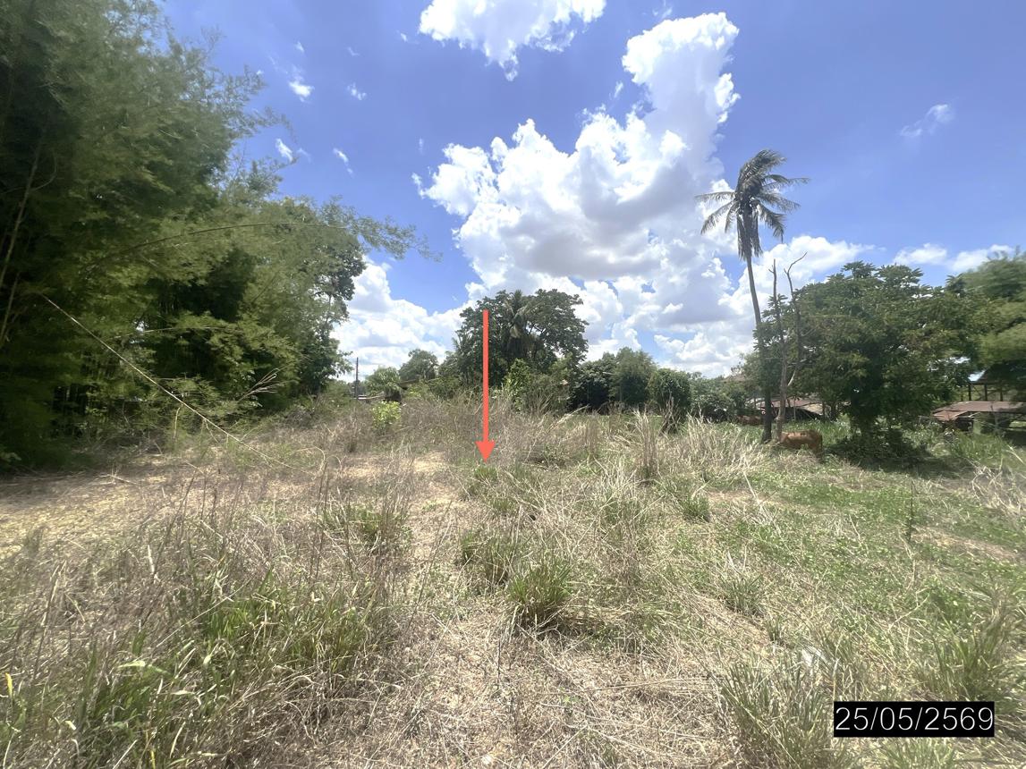 picture LAND 208 Sq.w. Pho Sai Ubon Ratchathani for 193,000 - 15/22