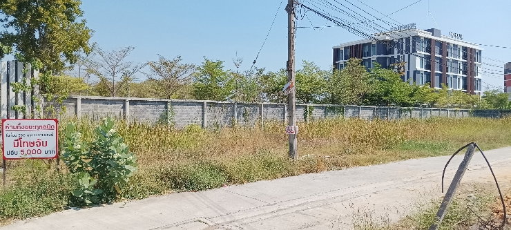 รูป ขายที่ดิน350ตรว ติดโรงแรมบีบีเฮ้าส์ - รูปที่ 2/5