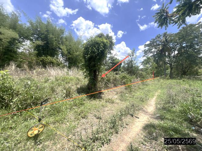 picture LAND 208 Sq.w. Pho Sai Ubon Ratchathani for 193,000 - 9/22