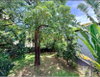 listing thumbnail image 9