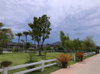 listing thumbnail image 14
