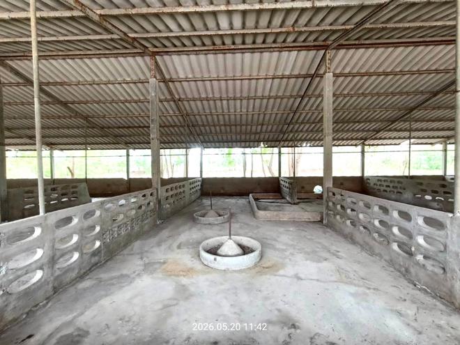 รูป บ้านเดี่ยว 2000 ตร.วา ศรีประจันต์ สุพรรณบุรี 3.8M - รูปที่ 14/46