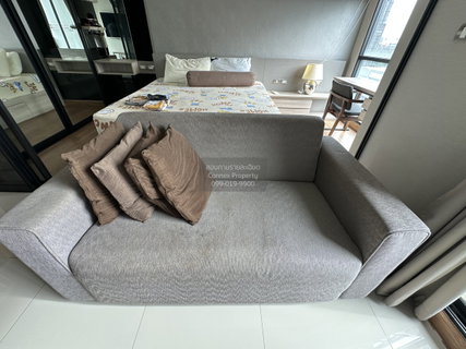 รูปภาพ For Rent Condo , Tree Condo Sukhumvit 50 , BTS-On Nut , Phra Khanong , Khlong Toei , Bangkok , CX-113665 ✅ Live chat with us ADD LINE @connexproperty ✅