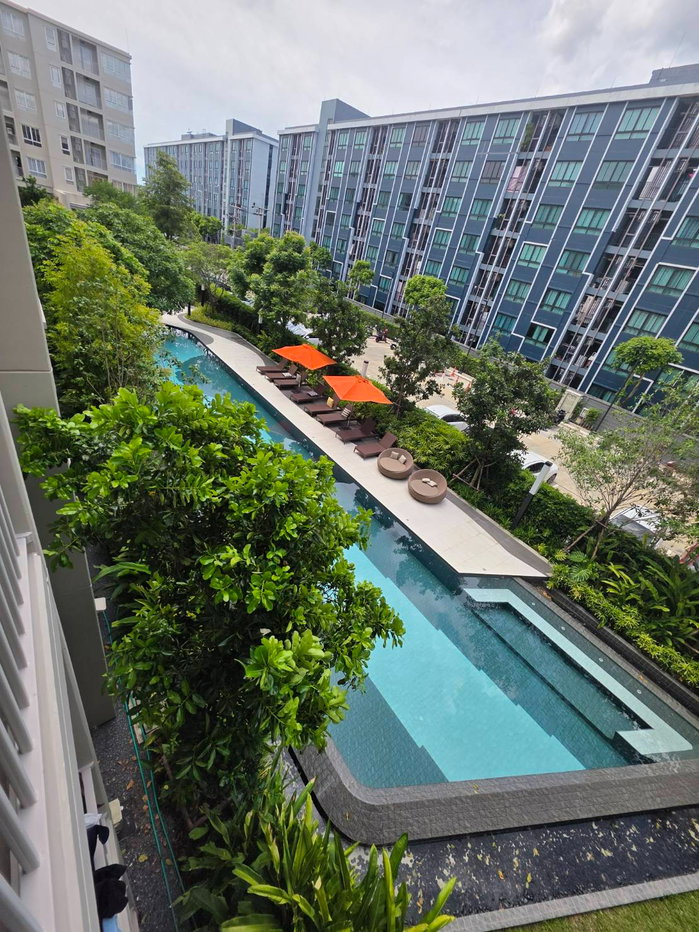picture ✨ For Rent: Dcondo Sand Hatyai. Brand new room - 15/15