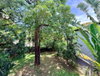 listing thumbnail image 13