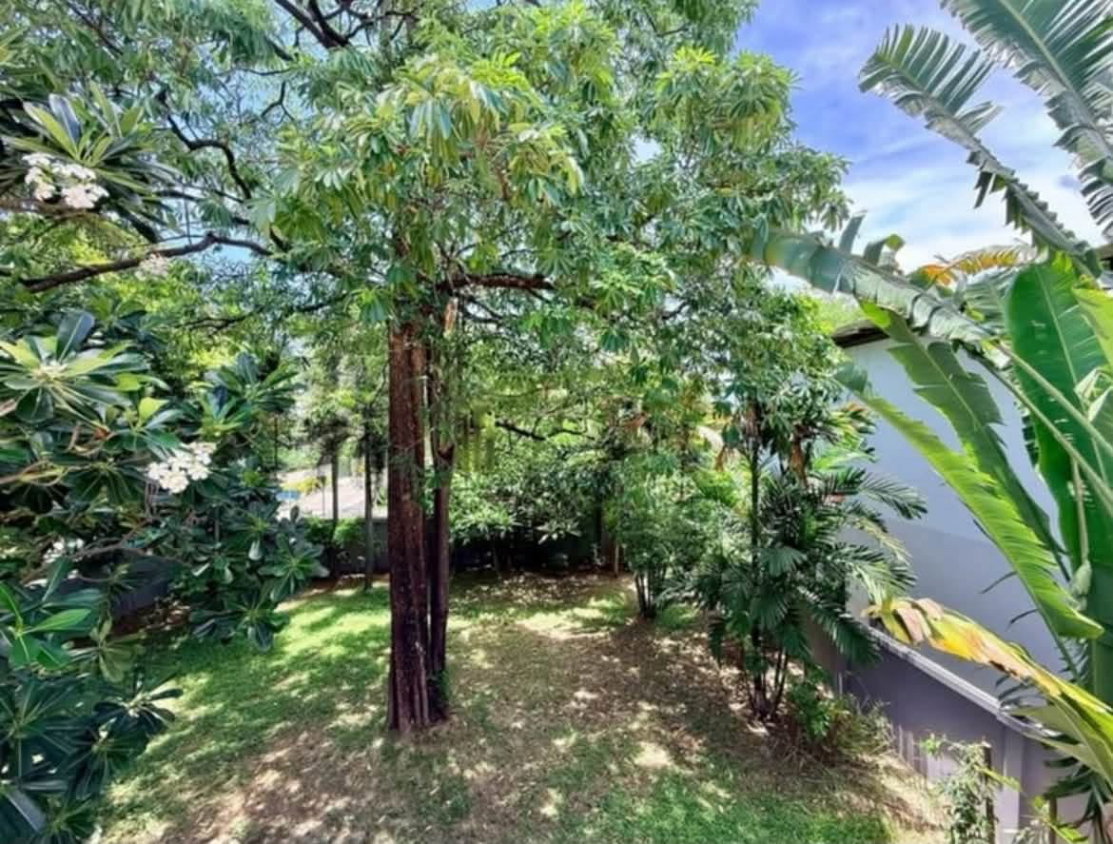 รูป บ้านเดี่ยวพร้อมสวนส่วนตัว | บีทีเอสอ่อนนุช | พื้นที่ 724 ตารางเมตร | 5 ห้องนอน 3 ห้องน้ำ | 110,000 บาท - รูปที่ 14/17