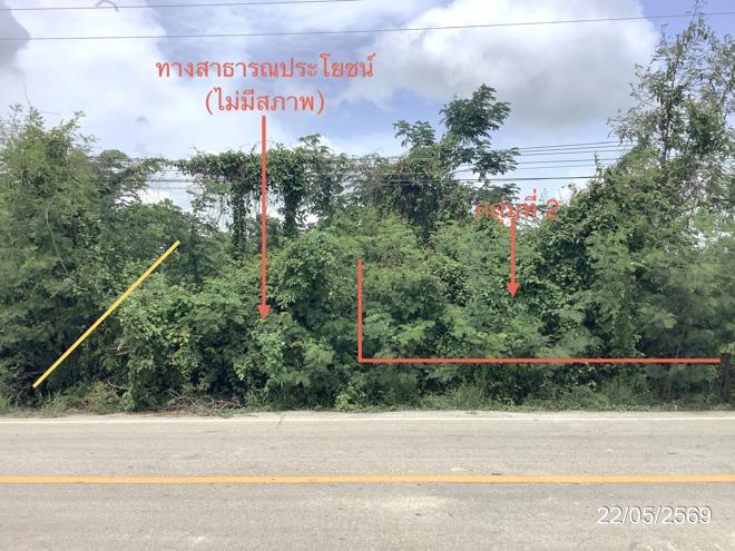 picture LAND 3979 Sq.w. Khlong Khlung Kamphaeng Phet for 4.5M - 8/32