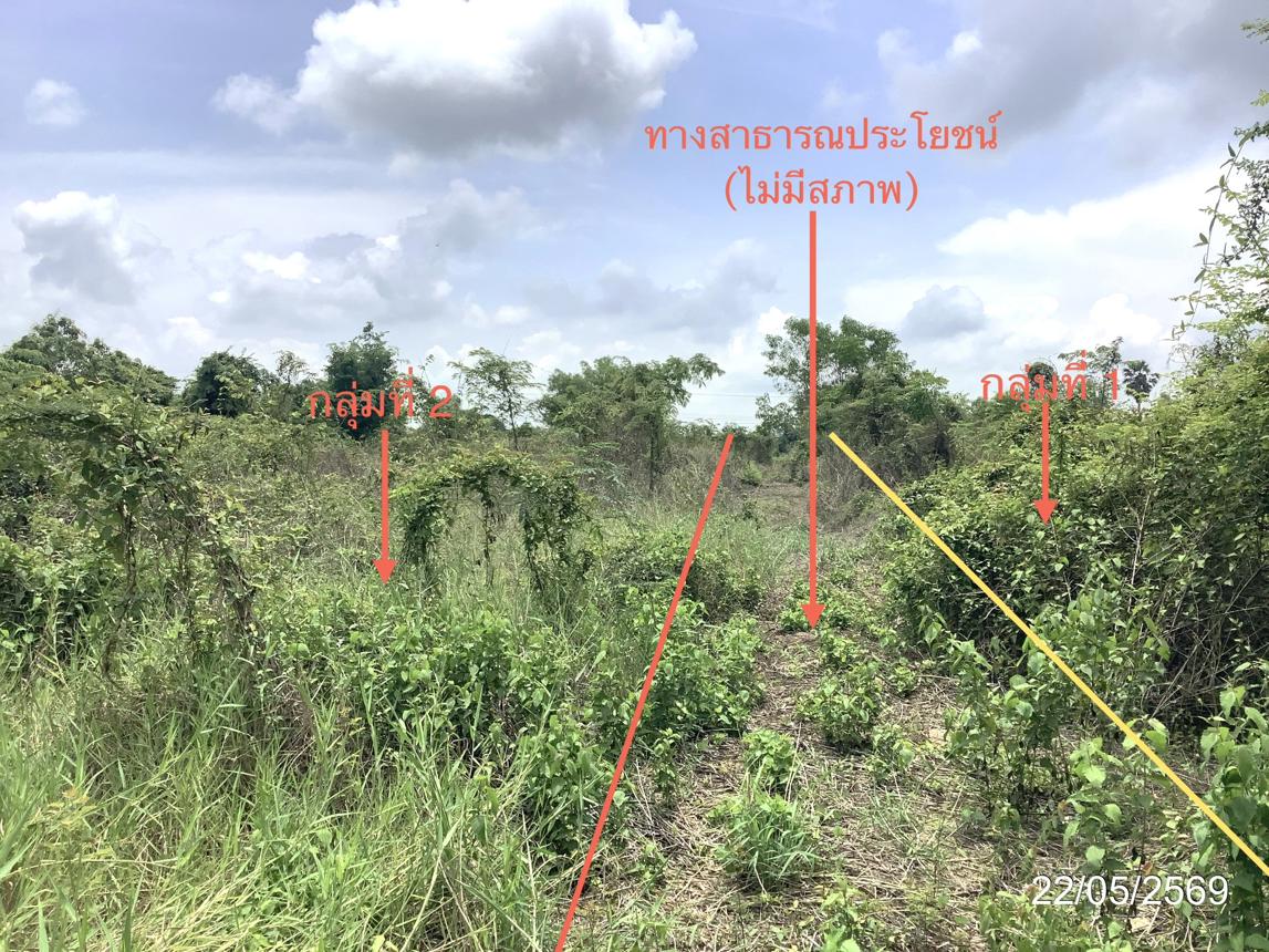picture LAND 3979 Sq.w. Khlong Khlung Kamphaeng Phet for 4.5M - 26/32