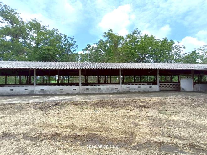 รูป บ้านเดี่ยว 2000 ตร.วา ศรีประจันต์ สุพรรณบุรี 3.8M - รูปที่ 10/46