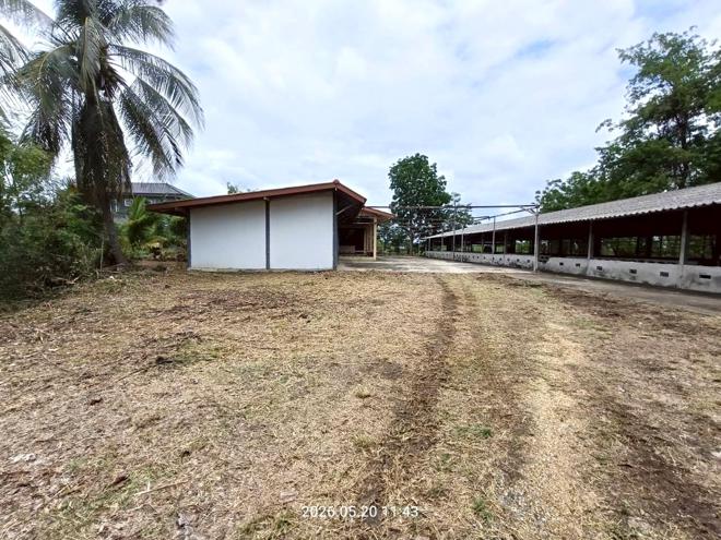 รูป บ้านเดี่ยว 2000 ตร.วา ศรีประจันต์ สุพรรณบุรี 3.8M - รูปที่ 17/46
