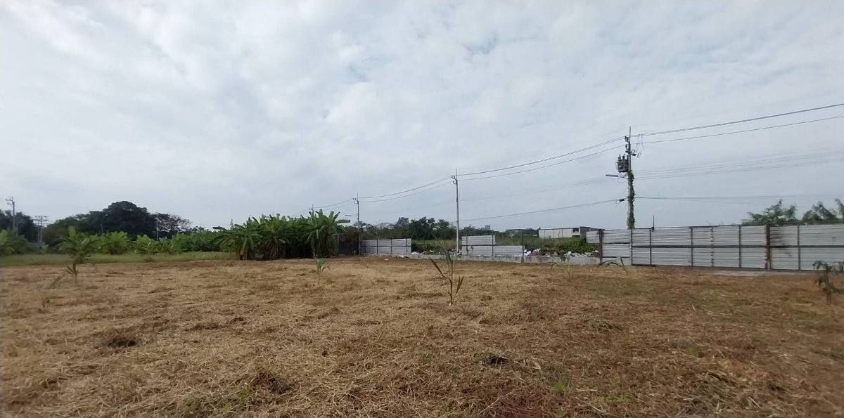 รูป LTH15907 - Land for Rent Krungthep Kreetha | Soi Krungthep Kreetha 9 | 180,000 THB | ที่ดินให้เช่า กรุงเทพกรีฑา ซอยกรุงเทพกรีฑา 9 - รูปที่ 9/10
