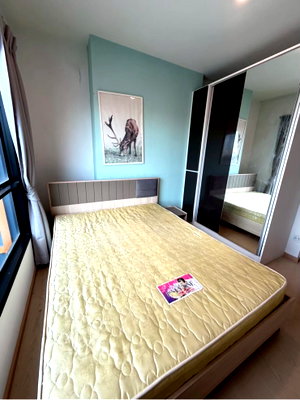 Condos for rent : The Tree Sukhumvit 71 - Ekamai