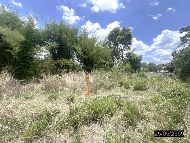 picture LAND 208 Sq.w. Pho Sai Ubon Ratchathani for 193,000 - 3/22