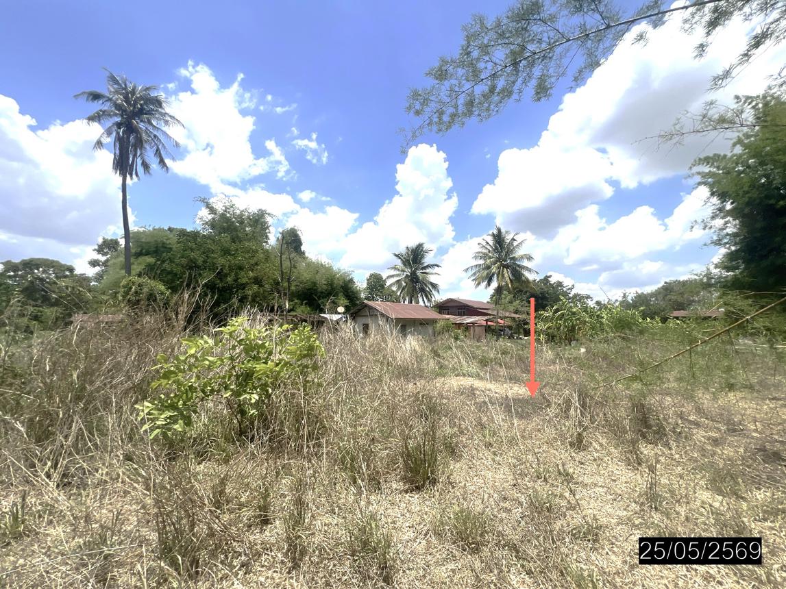 picture LAND 208 Sq.w. Pho Sai Ubon Ratchathani for 193,000 - 16/22