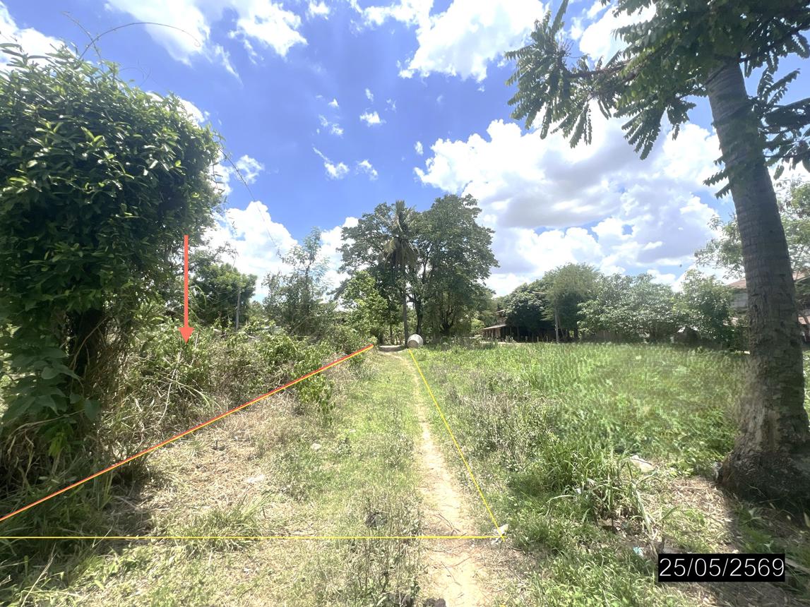picture LAND 208 Sq.w. Pho Sai Ubon Ratchathani for 193,000 - 11/22