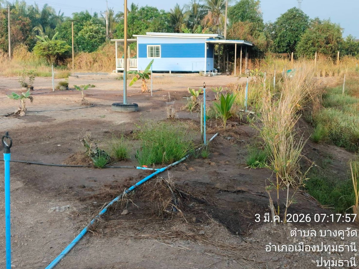 รูป ขายที่ดิน 2 ไร่ 86 ตรว. ต.นพรัตน์ อ. หนองเสือ จ.ปทุมธานี คลอง12 - รูปที่ 5/8