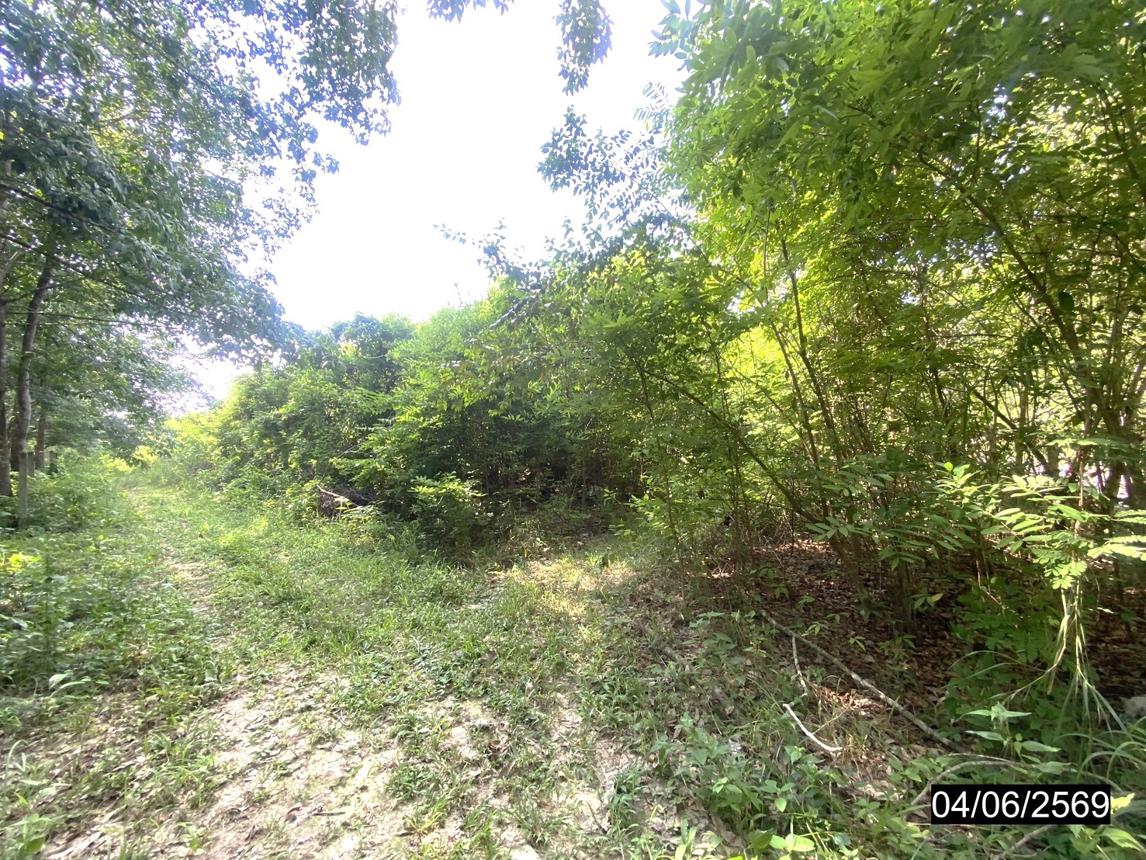 picture LAND 12418 Sq.w. Nongkai for 14.9M - 12/18