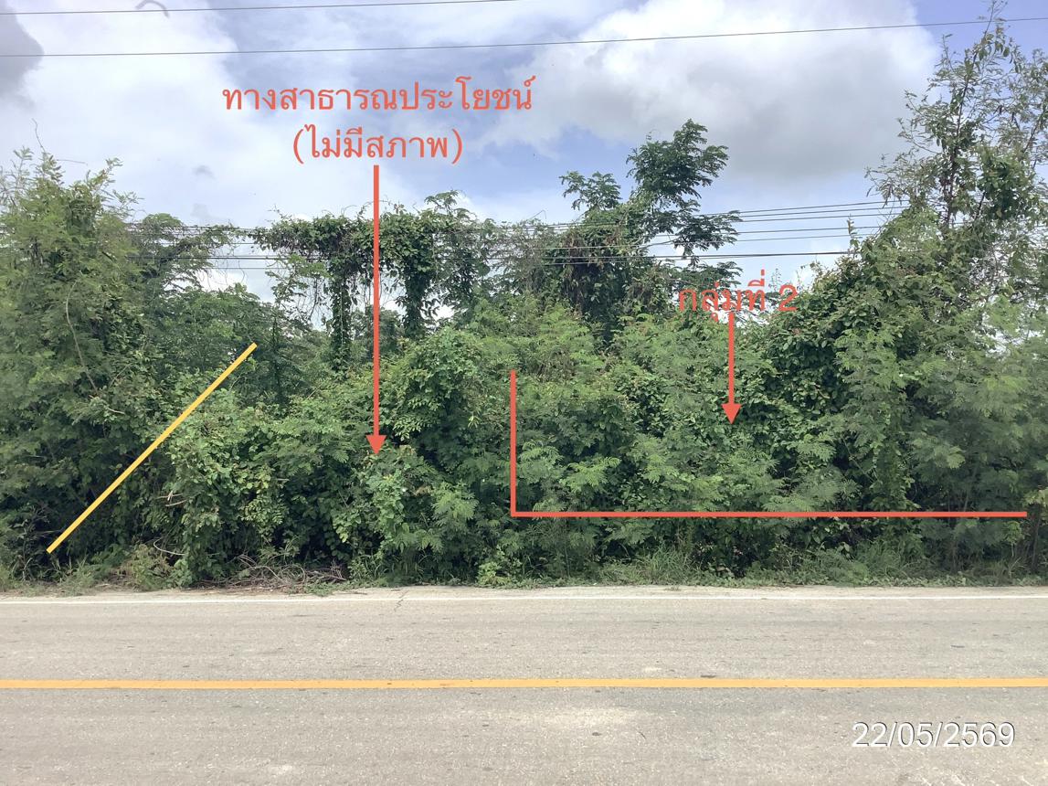 picture LAND 3979 Sq.w. Khlong Khlung Kamphaeng Phet for 4.5M - 22/32