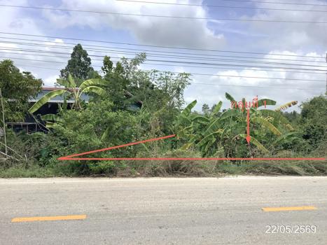 picture LAND 3979 Sq.w. Khlong Khlung Kamphaeng Phet for 4.5M - 29/32