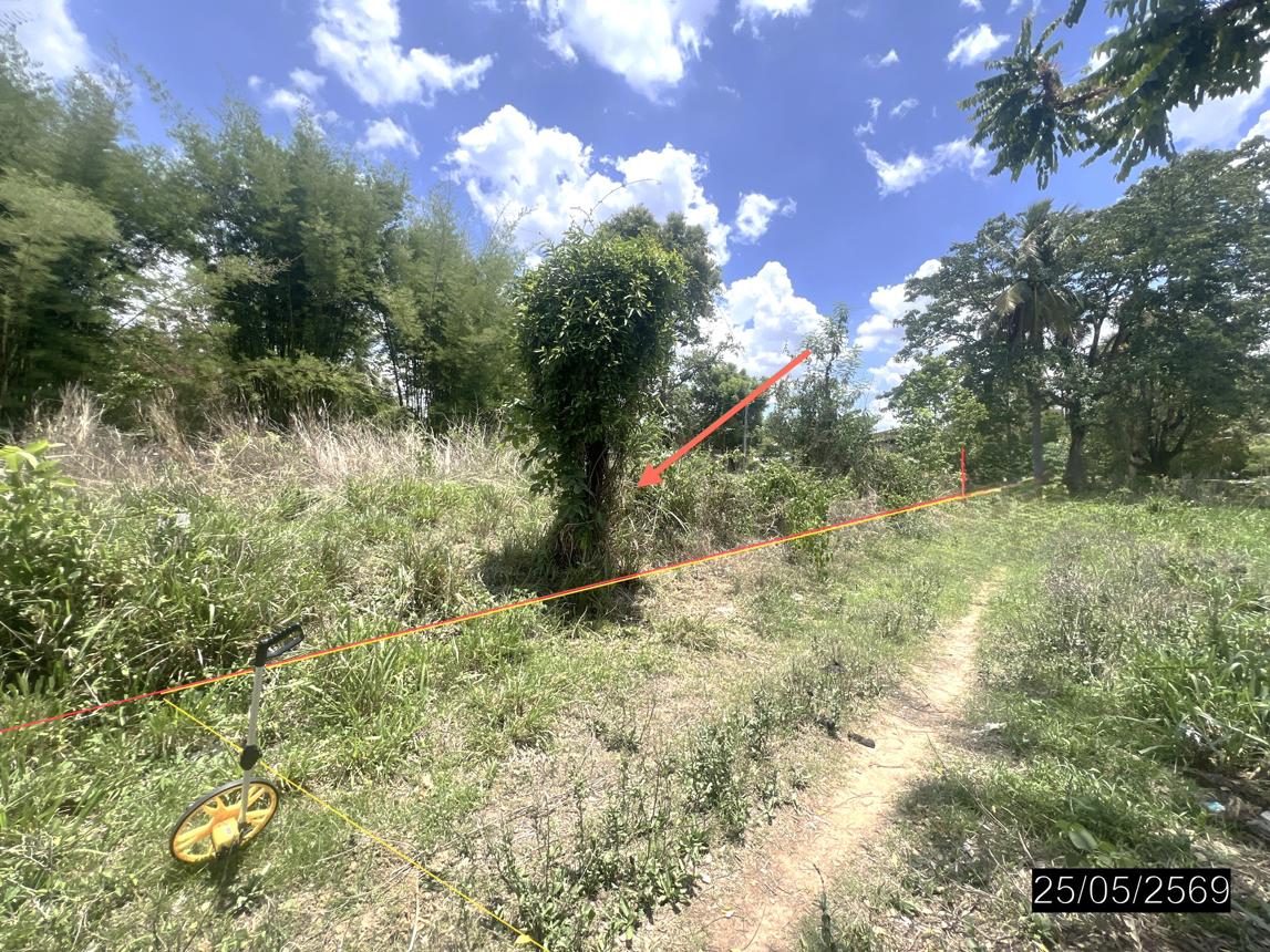 picture LAND 208 Sq.w. Pho Sai Ubon Ratchathani for 193,000 - 18/22