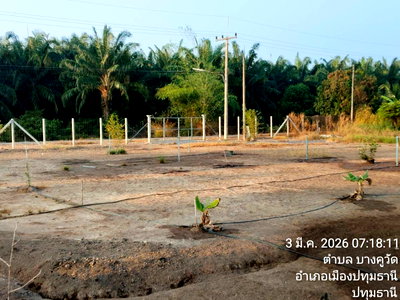 ที่ดิน ปทุมธานี : ขายที่ดิน 2 ไร่ 86 ตรว. ต.นพรัตน์ อ. หนองเสือ จ.ปทุมธานี คลอง12