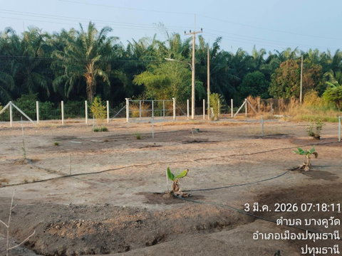 ขายที่ดิน 2 ไร่ 86 ตรว. ต.นพรัตน์ อ. หนองเสือ จ.ปทุมธานี คลอง12