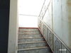 listing thumbnail image 25