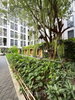 listing thumbnail image 21