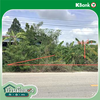 listing thumbnail image 29