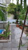 listing thumbnail image 30