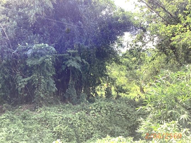 รูป ที่ดินว่างเปล่า 365 ตร.วา เมืองกระบี่ กระบี่ 8M - รูปที่ 4/14