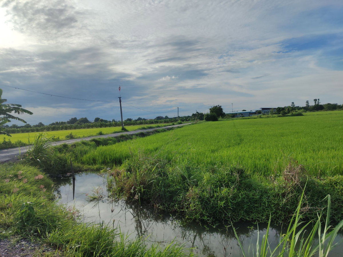 รูป เจ้าของขายเอง ที่ดินตัวเมืองอ่างทอง ใกล้หมู่บ้าน 15 ไร่ 1 งาน 70 ตารางวา - รูปที่ 5/5