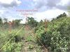 listing thumbnail image 18
