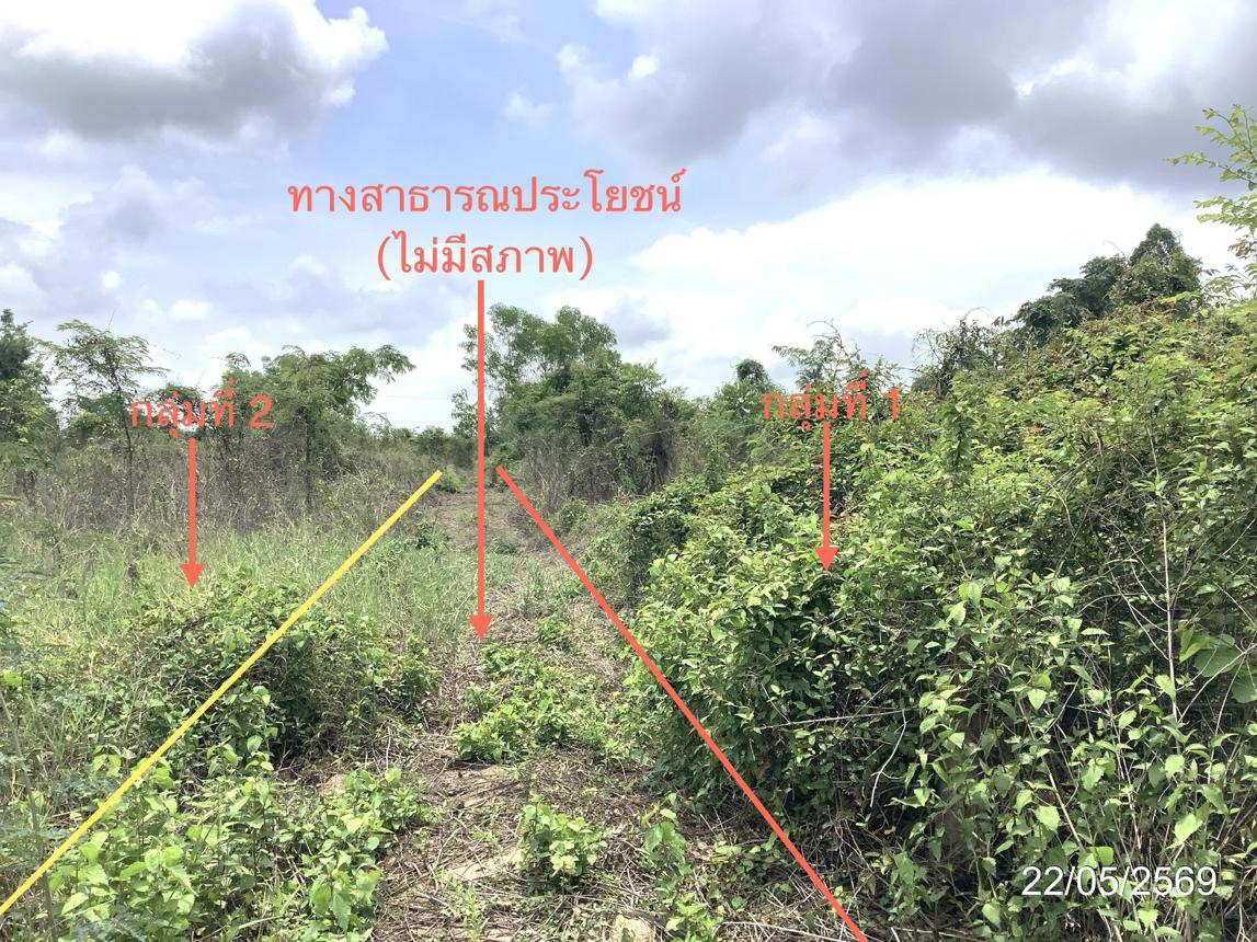 picture LAND 3979 Sq.w. Khlong Khlung Kamphaeng Phet for 4.5M - 19/32