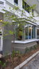 listing thumbnail image 24