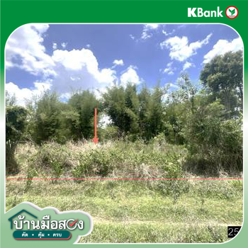 picture LAND 208 Sq.w. Pho Sai Ubon Ratchathani for 193,000 - 20/22