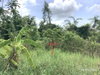 listing thumbnail image 20