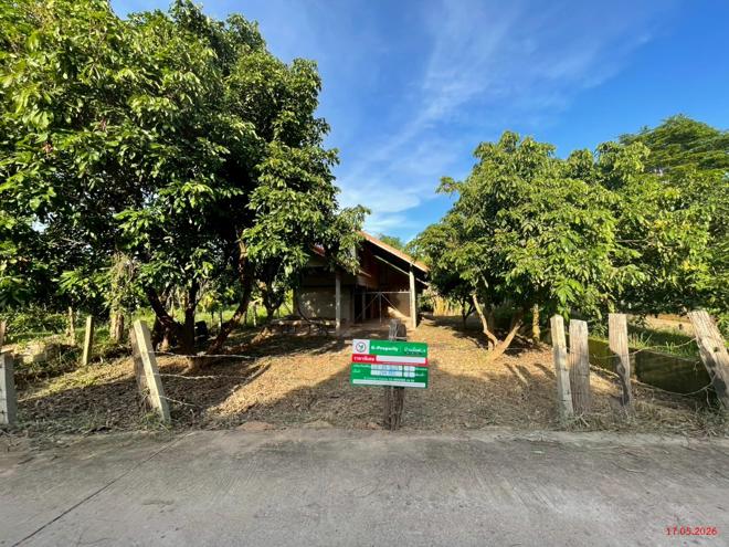 picture HOME 284 Sq.w. Wiang Sa Nan for 1.2M - 2/40
