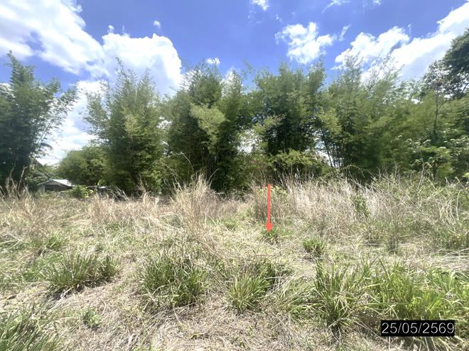 picture LAND 208 Sq.w. Pho Sai Ubon Ratchathani for 193,000 - 5/22