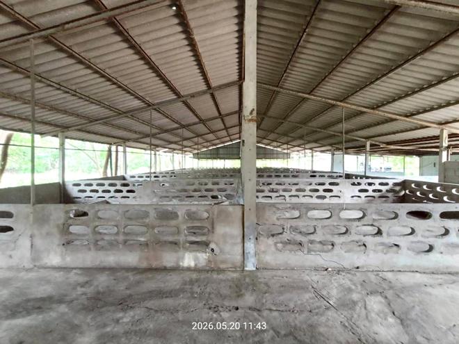 รูป บ้านเดี่ยว 2000 ตร.วา ศรีประจันต์ สุพรรณบุรี 3.8M - รูปที่ 11/46