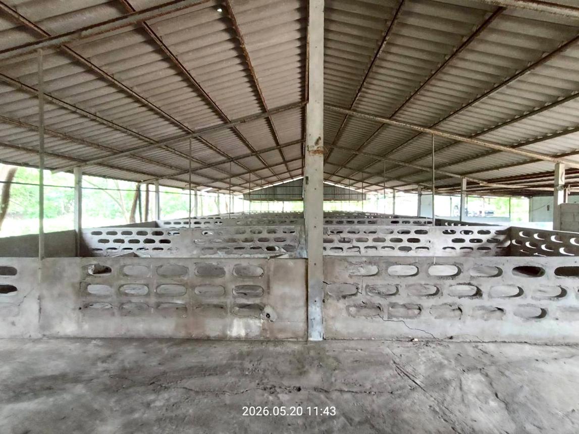 รูป บ้านเดี่ยว 2000 ตร.วา ศรีประจันต์ สุพรรณบุรี 3.8M - รูปที่ 32/46