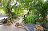 listing thumbnail image 6